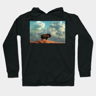 Storms Over the Endless Plains Hoodie